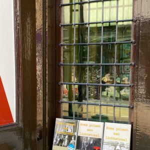 26 juli 2024. Mijn boeken voor het raam bij Boekhandel De Mandarijn. Morgen signeersessie.