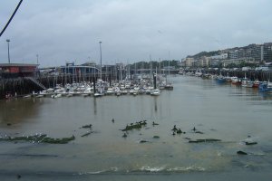 Haven Boulogne, rechts liggen de vissers en het stadscentrum. Merk op dat de aalscholvers op de voorgrond hun vleugels spreiden. Dat is - heb ik wel eens gehoord - om de spijsvertering te bevorderen