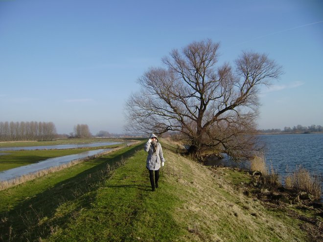 De Biesbosch. We maken een wandeling over de lage dijkjes van de Hooge Hof polder