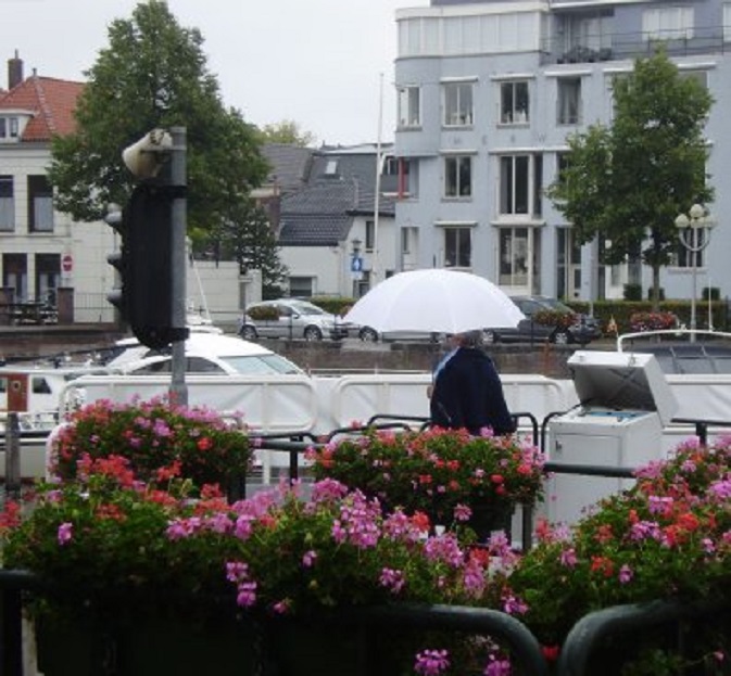 Schutten in de regen