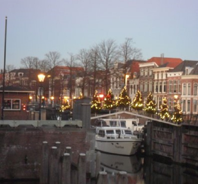 De kerstboompjes op de 3e Waterkering