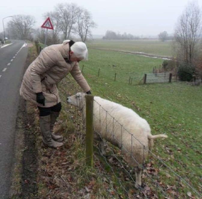 Gisteravond op de dijk in Wijk en Aalburg