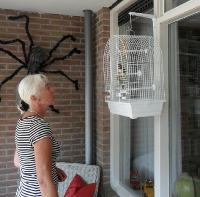 Dom Viano in zijn nieuwe kooi in de serre.