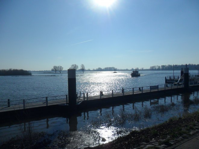 Zonlicht schittert op de rivier. De uiterwaard is onder water gelopen.