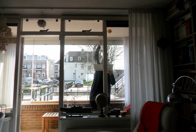 Anws hangt de kooi van onze adellijke kanarie Sir Geldof vandaag weer in de serre.