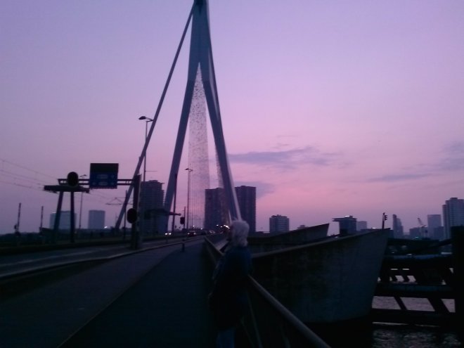 We lopen terug over de Erasmusbrug.