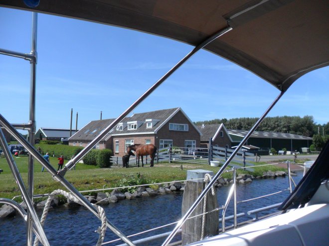 Uren wachten op de spoorbrug van Sassenheim. Een paard en een pony komen kijken wat we daar doen.