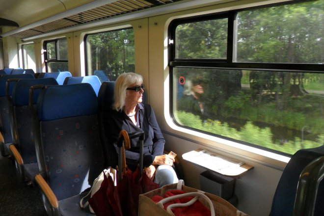 In de NS-sprinter van Geldermalsen naar Utrecht. Rechts op de voorgrond de tas met Sir Geldof in zijn kooi onder een handdoek