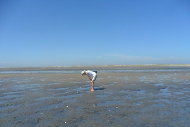 Terschelling. Op het brede strand bij strandrestaurant De Walvis.