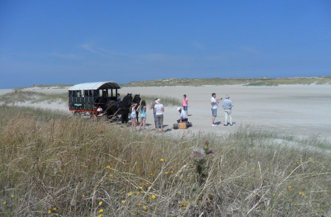 Terschelling. Met de huifkar op de Noordsvaarder.