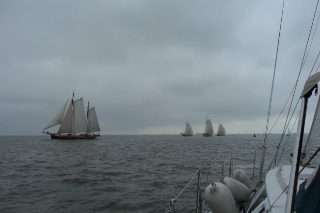 Waddenzee. Op de Pollen bij Harlingen komt de bruine vloot ons tegemoet..