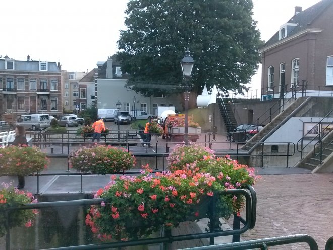 Werklieden van de gemeente halen vanmorgen de bakken met geraniums weg.