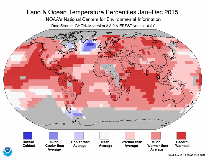 De afkoelende 'cold blob' ten zuiden van Groenland, in een wereld die overal elders opwarmt. (bron: NOAA).