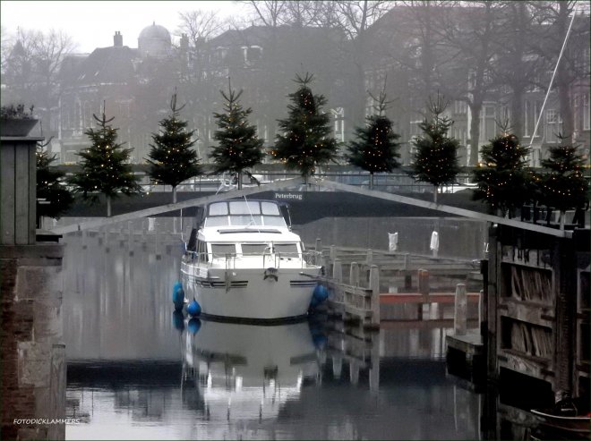 De kerstbomenbrug van buurtvereniging KNAKE (foto Dick Lammers)