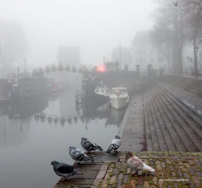 Weer zo'n mooie mistfoto van Dick Lammers, onderdoor een bloembak op de Peterbrug genomen van de Lingehaven, met salonboot 'Dudok'. Het dubbele  en de KNAKE-kerstbomenbrug. Het dubbele rode licht beduidt dat de sluis niet bediend wordt.