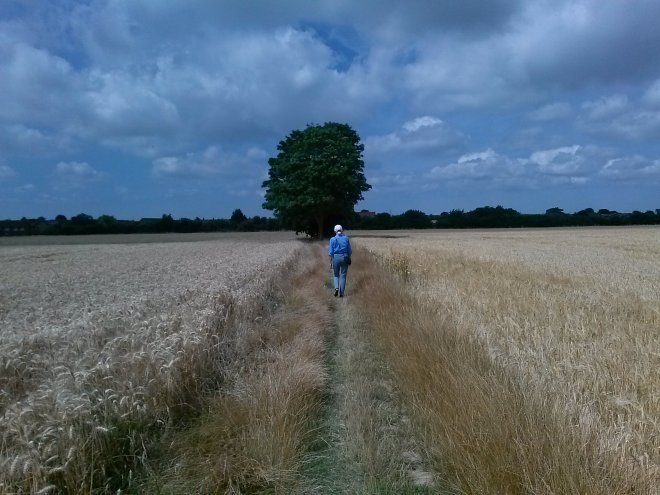 Public Footpath bij Wick Farm, Burnham-on-Crouch.