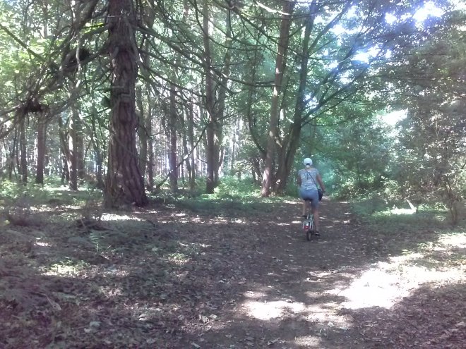 Fietsen door het bos tussen Pin Mill en Shotley.
