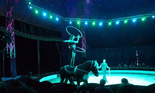 Circus Renz International vanmiddag op Buiten de Waterpoort.