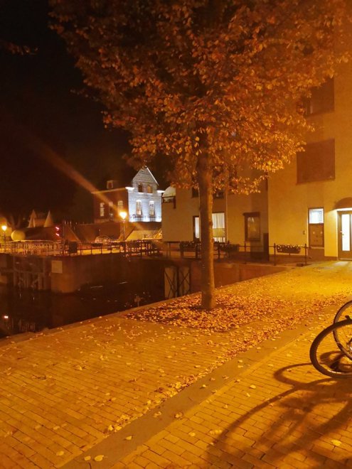 Ons huis bij nacht. Ons raam (achter de stam van de boom) is verlicht, we zijn nog op (foto: Maarten van de Giessen)