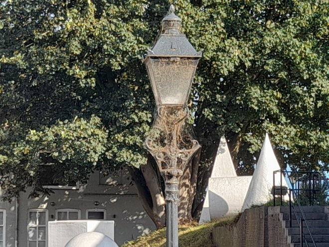 Spinnenplaag in Gorinchem?