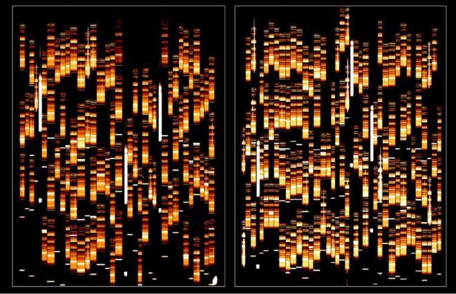 Opname van 220 spectra van de roodverschuiving van het licht van ver verwijderde gebieden in het heelal (VIMOS, VLT, ESO)