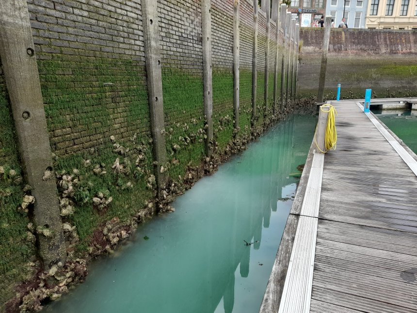 De oesters aan de havenmuur zijn aan het 'melken'.