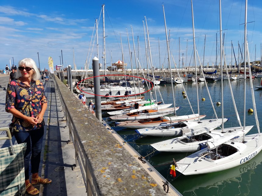 De draken liggen klaar voor de zeilwedstrijden in dit weekeinde. Dulce in de rode ovaal.