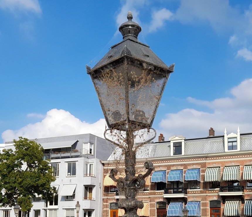 Spinnenrijk op een lantaarnpaal bij de sluis.