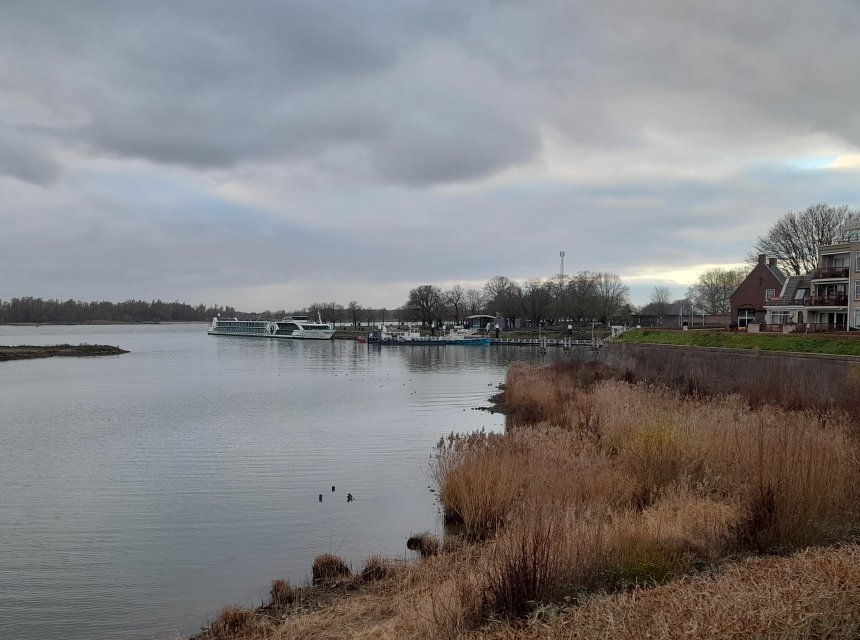 Links achterin de Merwede, in het midden ligt een cruiseschip voor BdW, rechts de Altenawal (foto van gisteren).