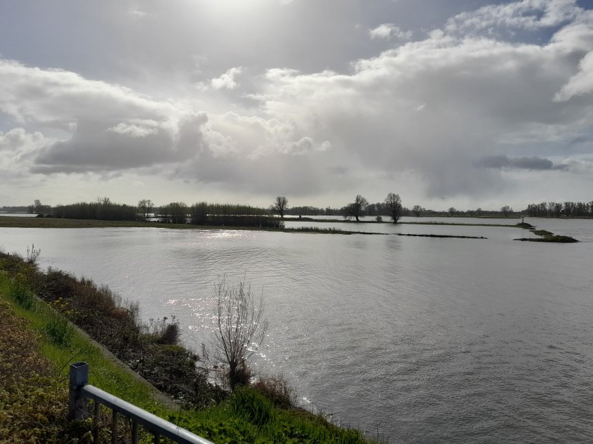 De Merwede vanmorgen vanaf de Altenawal. De uiterwaard staat nog onder water.